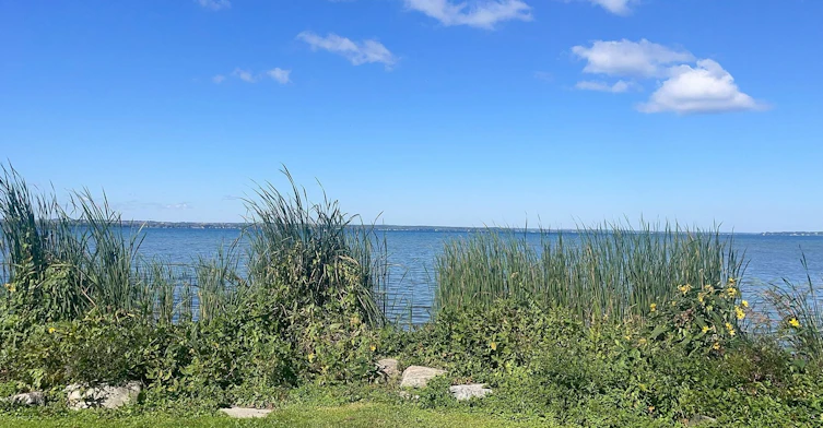 Lower-288 Parkwood Avenue, Georgina, ON, L4P 2X3 - 29