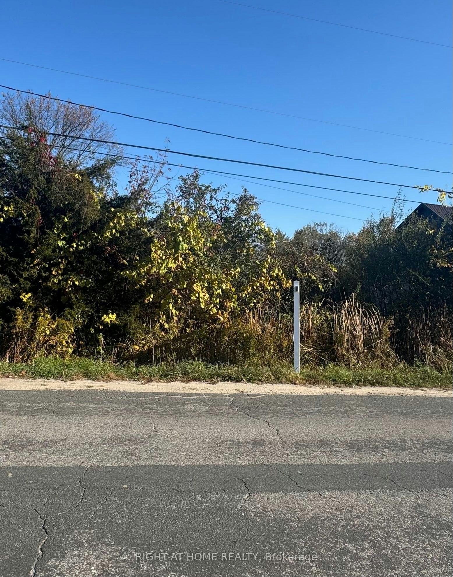 1167 Arnold Street, Innisfil, ON, L0L 1C0