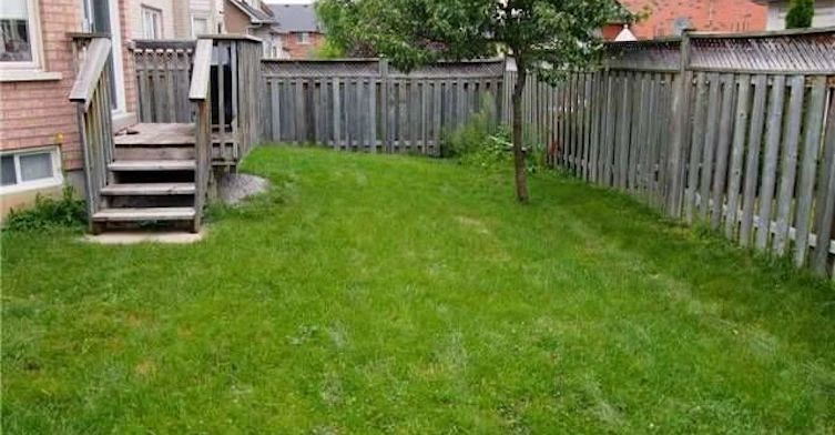 186 Silver Linden Drive, Richmond Hill, ON, L4B 4G6 - 22