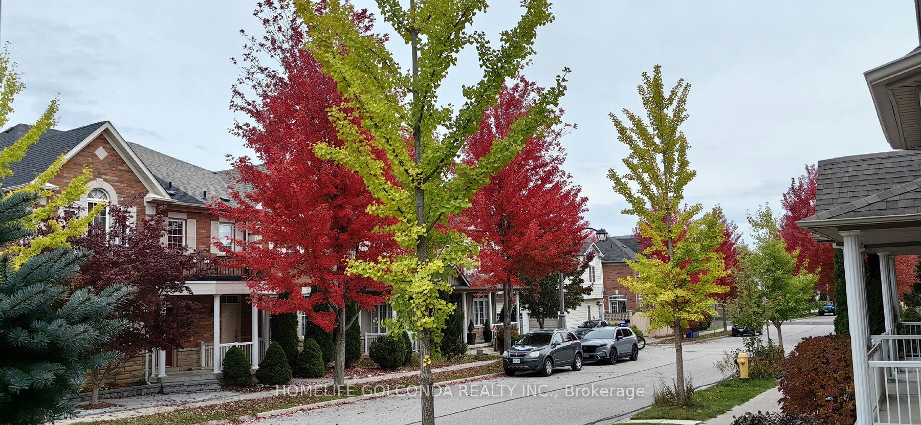 32 Cardrew Street, Markham, ON, L6B 1G9 - 31