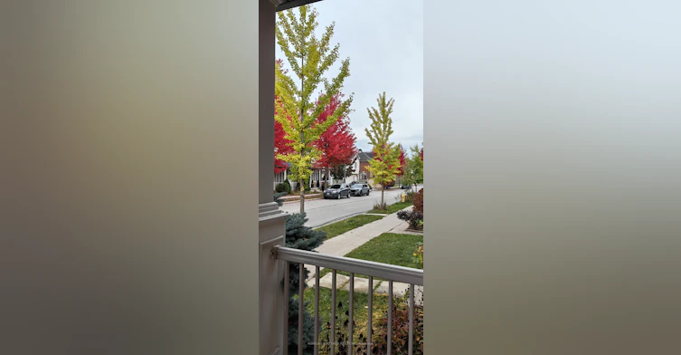 32 Cardrew Street, Markham, ON, L6B 1G9 - 30