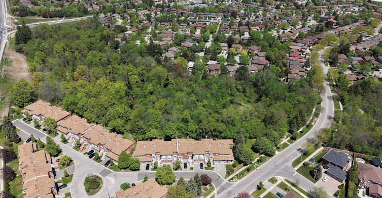 35-80 Mccallum Drive, Richmond Hill, ON, L4C 9X5 - 50