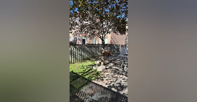115 Katerina Avenue, Vaughan, ON, L4J 8H3 - 4
