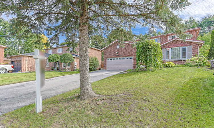 21 Mcquaid Court
