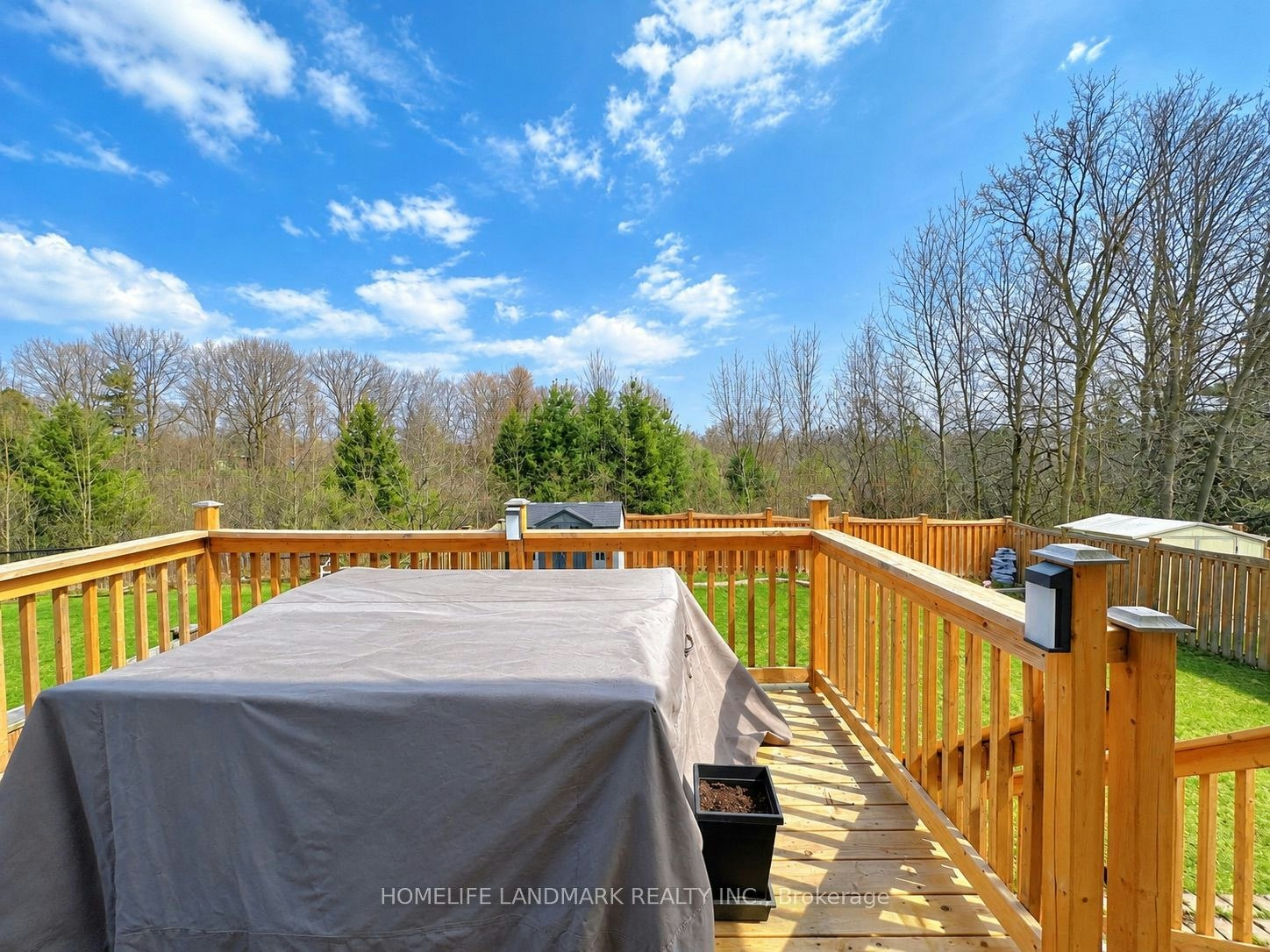 37 Brass Drive, Richmond Hill, ON, L4E 4T3 - 11
