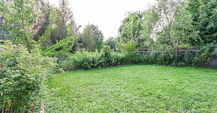 Basement-111 Deerwood Crescent, Richmond Hill, ON, L4E 4B3 - 7