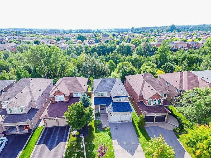 Basement-111 Deerwood Crescent, Richmond Hill, ON, L4E 4B3 - 9