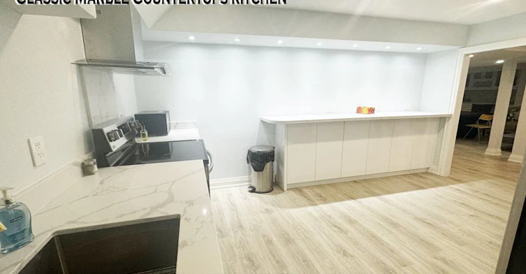 Basement-45 Fern Avenue, Richmond Hill, ON, L4B 3R5 - 11