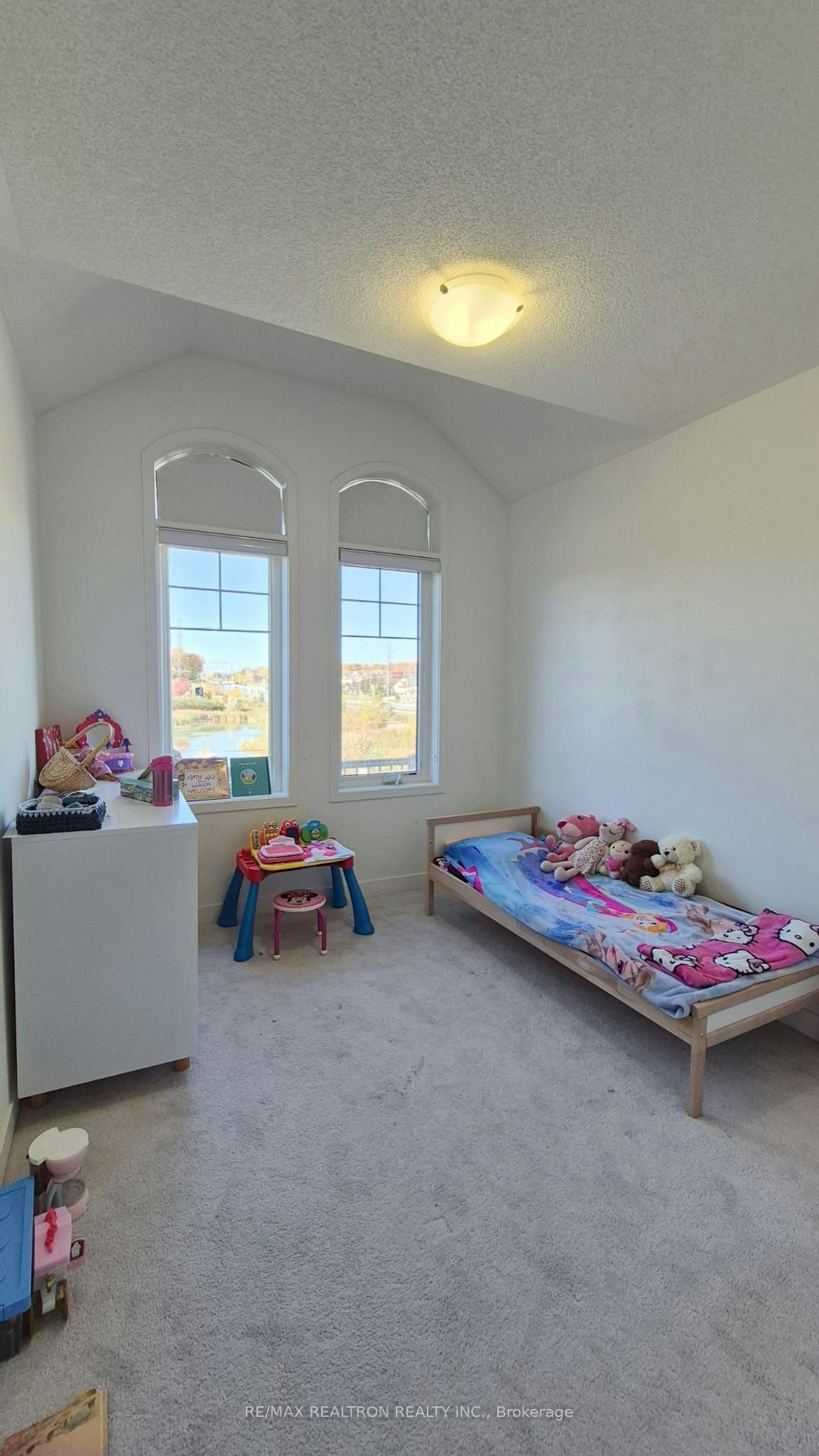 162 Harding Park Street, Newmarket, ON, L3Y 0E4 - 19