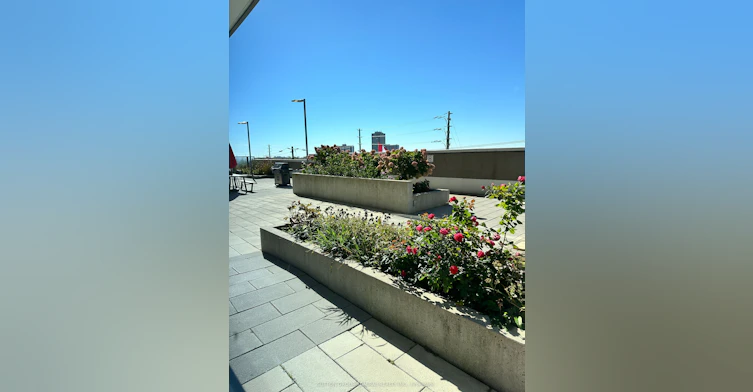 1728-7161 Yonge Street, Vaughan, ON, L3T 0C8 - 25