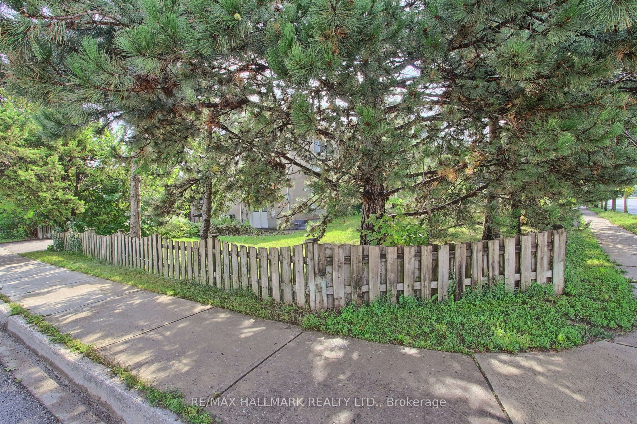 339 Neal Drive, Richmond Hill, ON, L4C 3L3 - 37