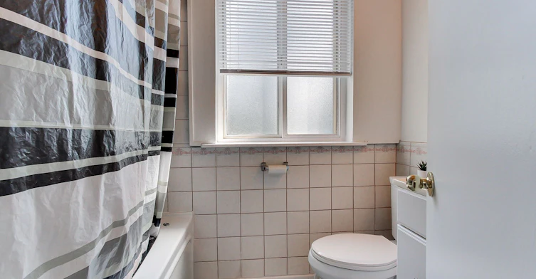 339 Neal Drive, Richmond Hill, ON, L4C 3L3 - 25