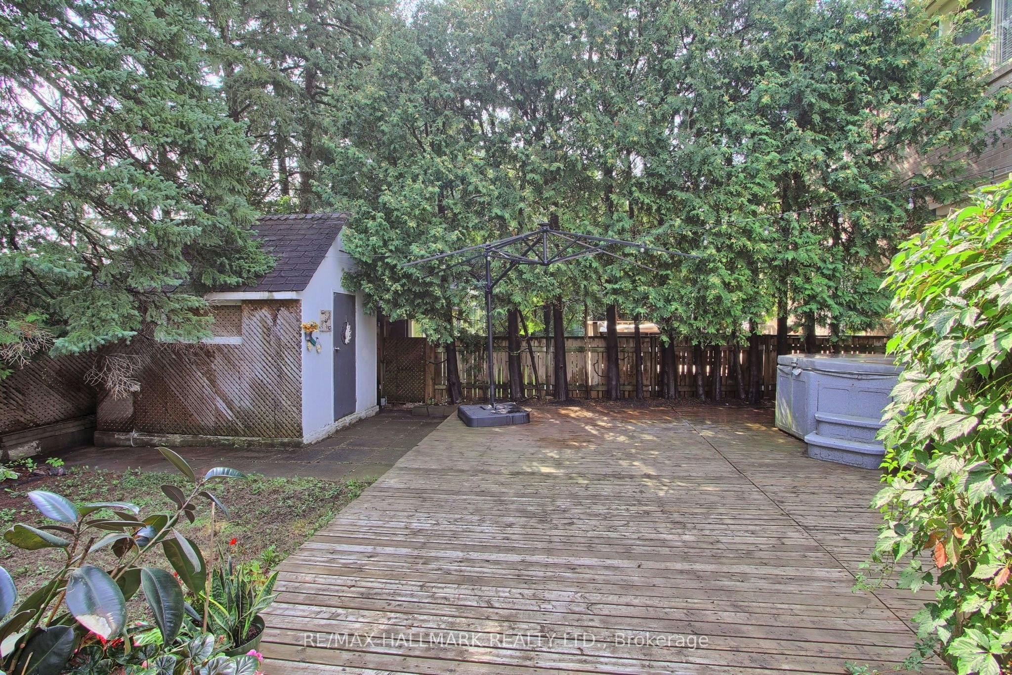 339 Neal Drive, Richmond Hill, ON, L4C 3L3 - 43