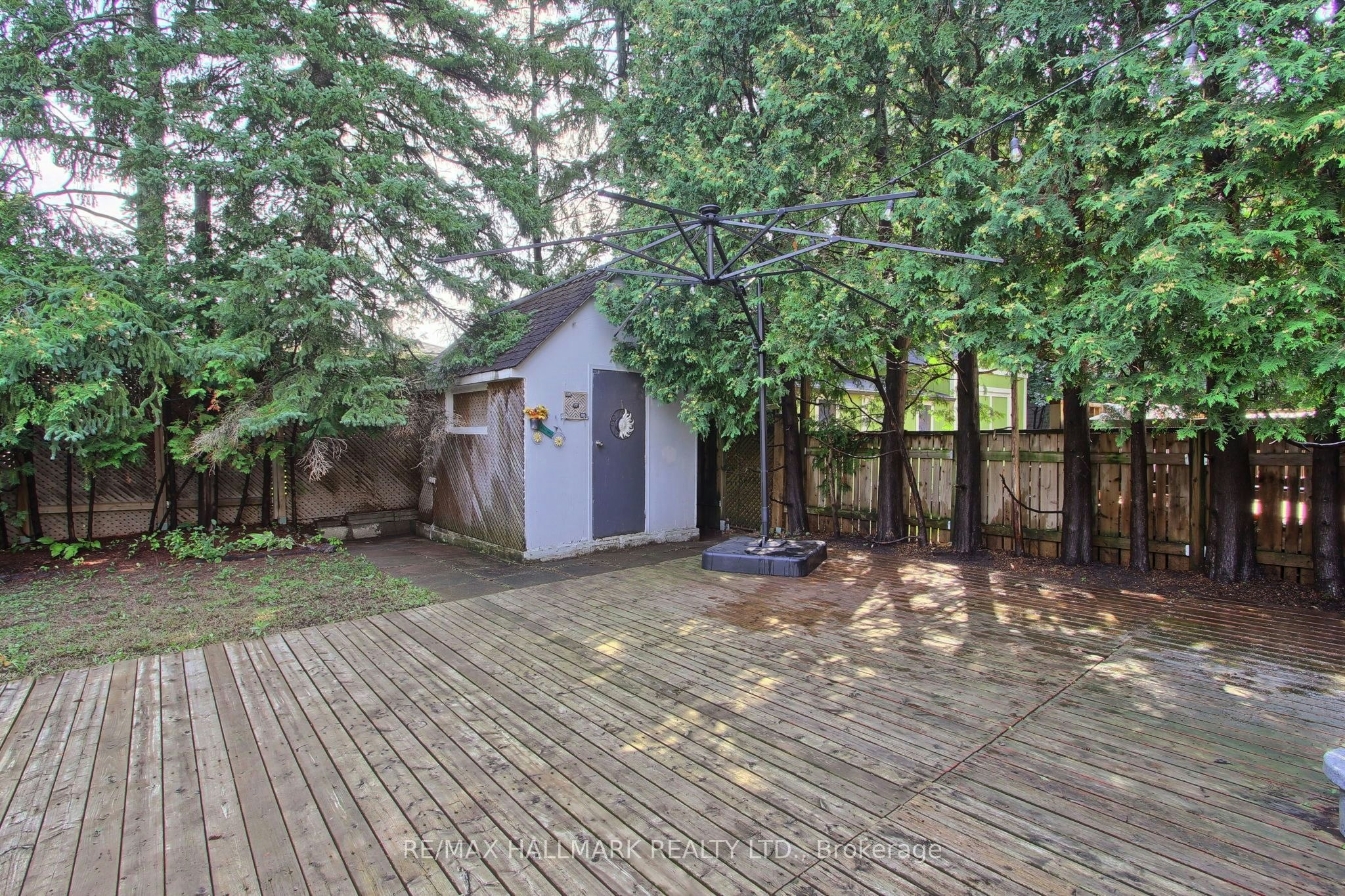 339 Neal Drive, Richmond Hill, ON, L4C 3L3 - 44