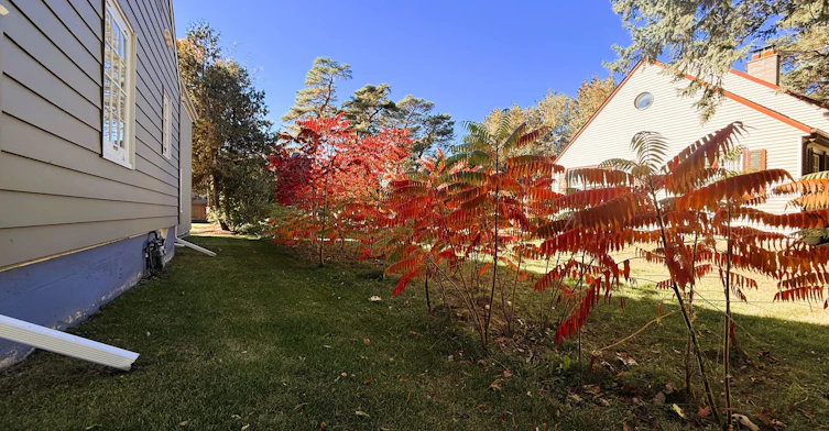 84 Main Unionville Street, Markham, ON, L3R 2E7 - 27