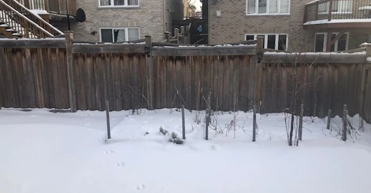 438 Kwapis Boulevard, Newmarket, ON, L3X 3K4 - 11