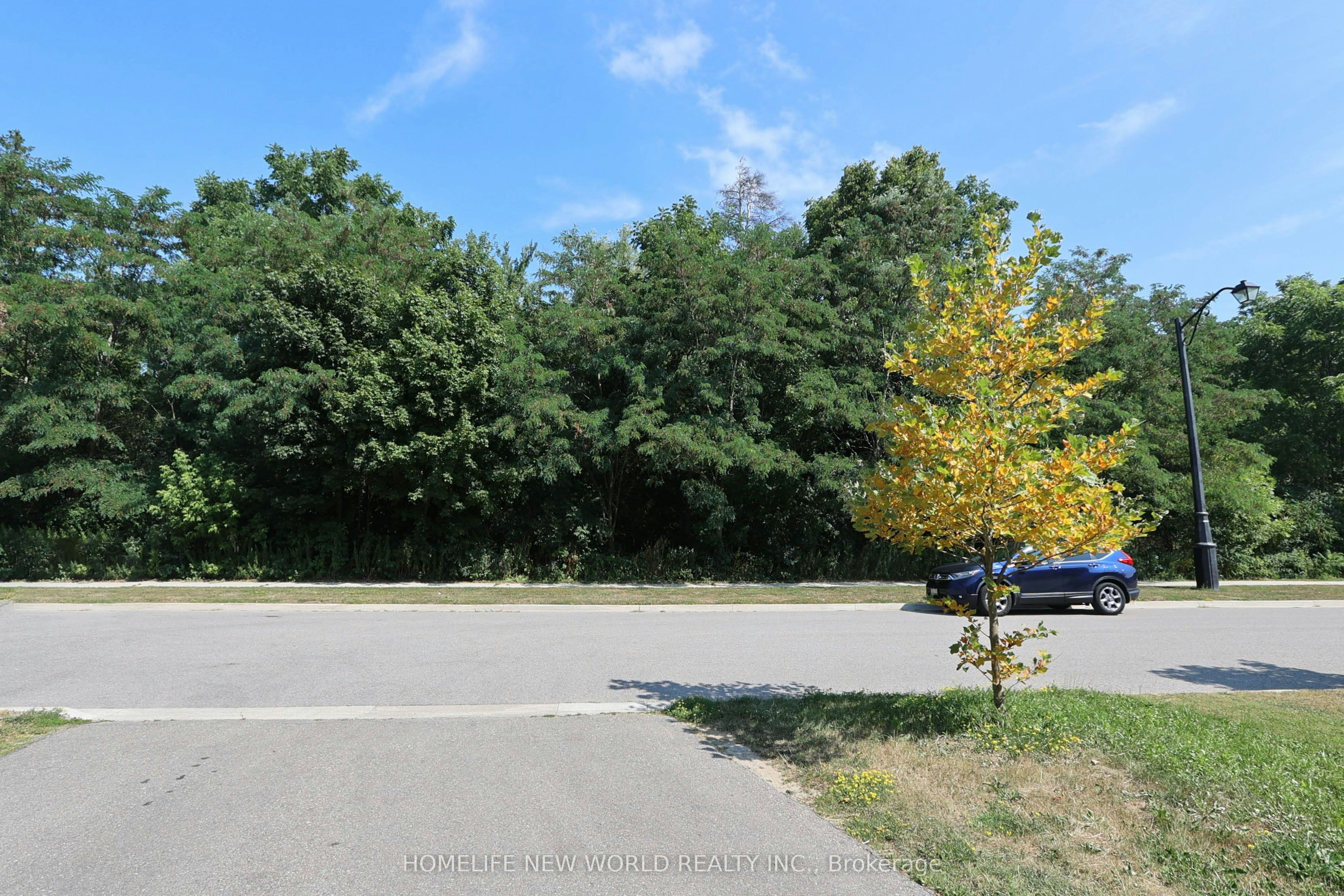 2nd Master Bedroom-41 Pulpwood Crescent, Richmond Hill, ON, L4E 0V1 - 6