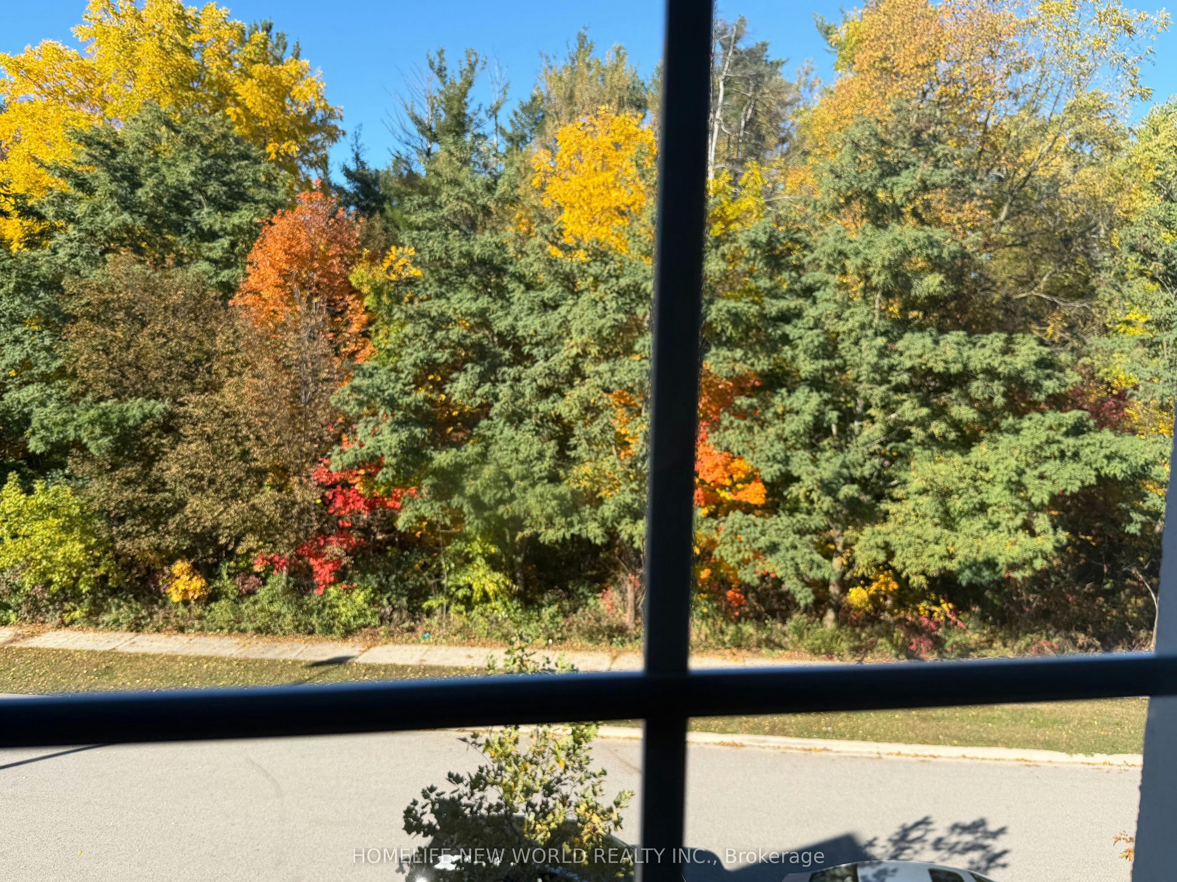 2nd Master Bedroom-41 Pulpwood Crescent, Richmond Hill, ON, L4E 0V1 - 5