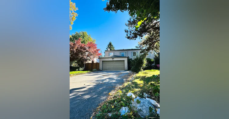 Basement-71 Royal Orchard Boulevard, Markham, ON, L3T 3C7