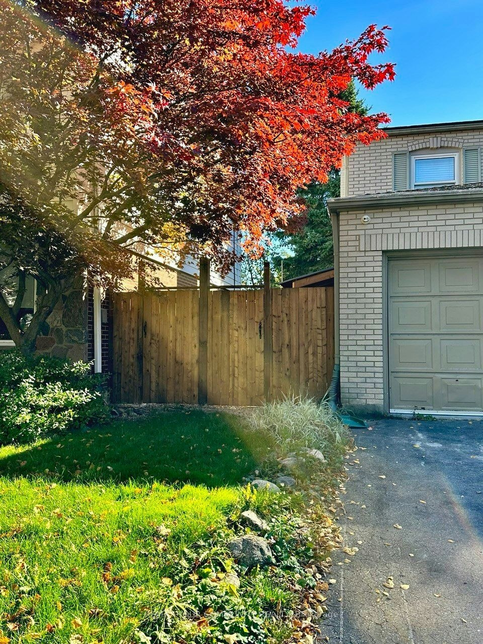 Basement-71 Royal Orchard Boulevard, Markham, ON, L3T 3C7 - 3