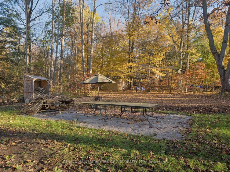 779 South Drive, Georgina, ON, L0E 1L0 - 35