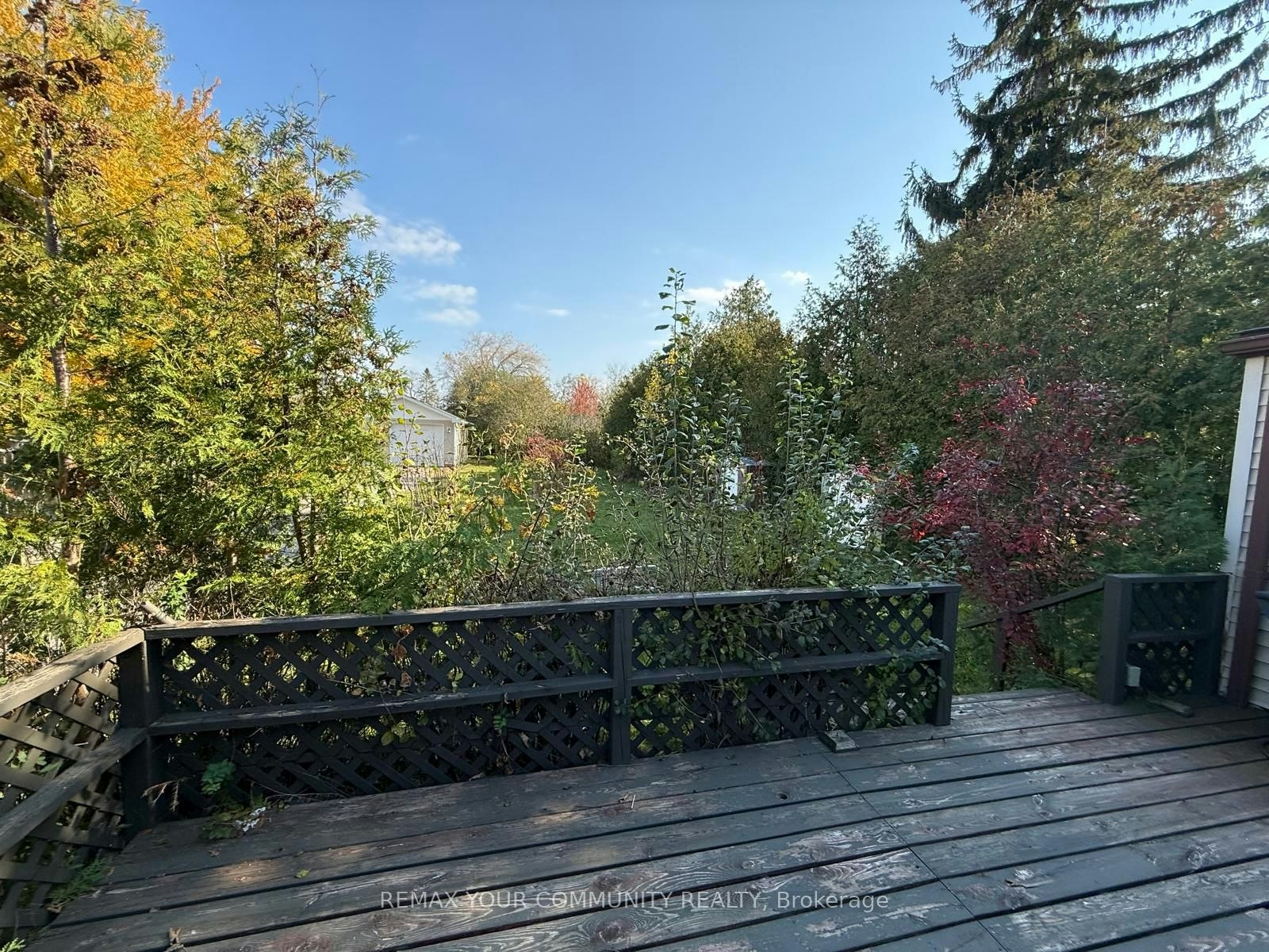 815 Montsell Avenue, Georgina, ON, L0E 1S0 - 14