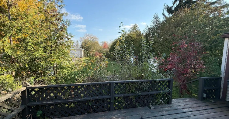 815 Montsell Avenue, Georgina, ON, L0E 1S0 - 14
