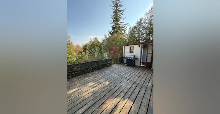 815 Montsell Avenue, Georgina, ON, L0E 1S0 - 12