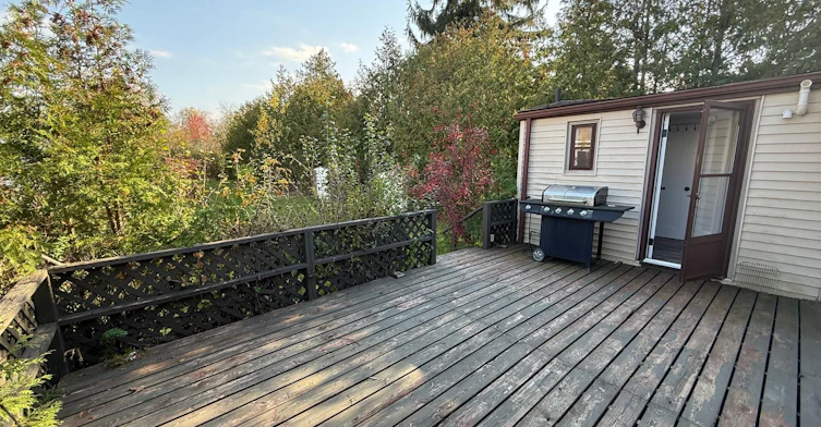 815 Montsell Avenue, Georgina, ON, L0E 1S0 - 13