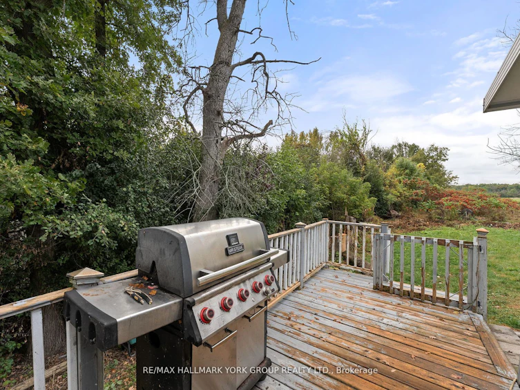 181 Moores Beach Road, Georgina, ON, L0E 1N0 - 30