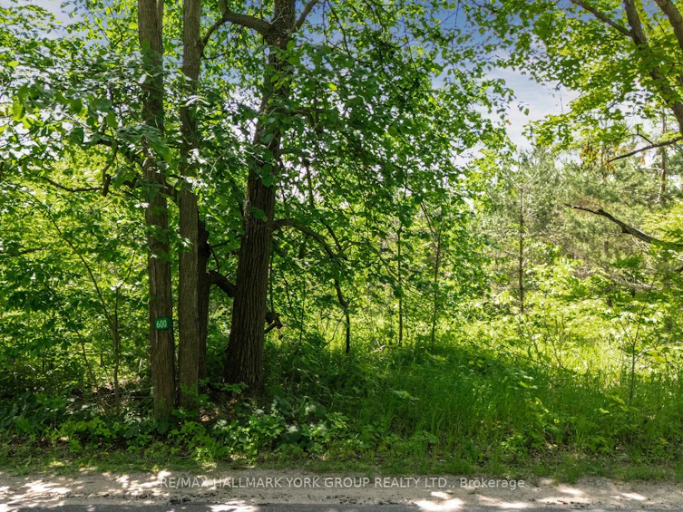 600 14th Line South N/A, Oro-Medonte, ON, L3V 6H1 - 17