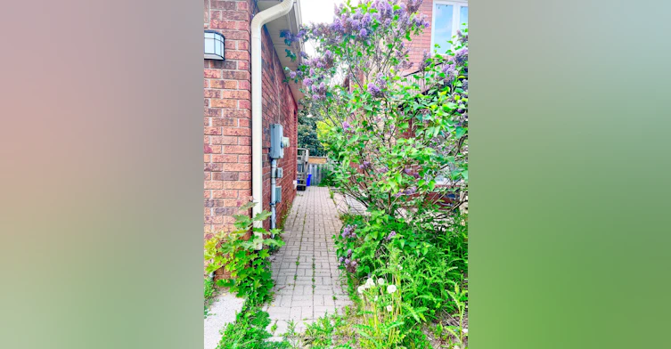 Bsmt-71 Trillium Crescent, Barrie, ON, L4N 6H6 - 2