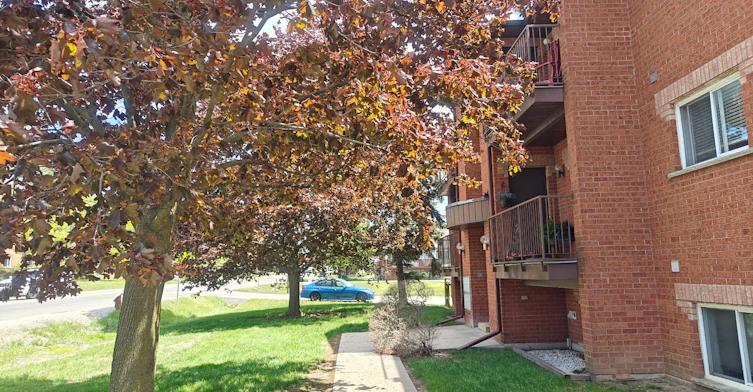 339 Blake Street, Barrie, ON, L4M 1L1 - 14