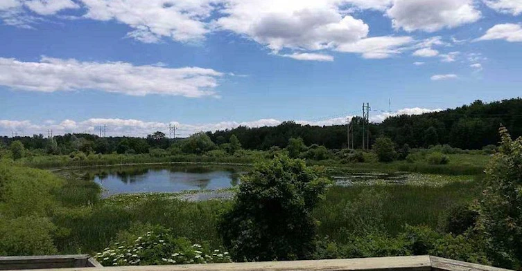 Lower-163 Pringle Drive, Barrie, ON, L4N 0P7 - 9