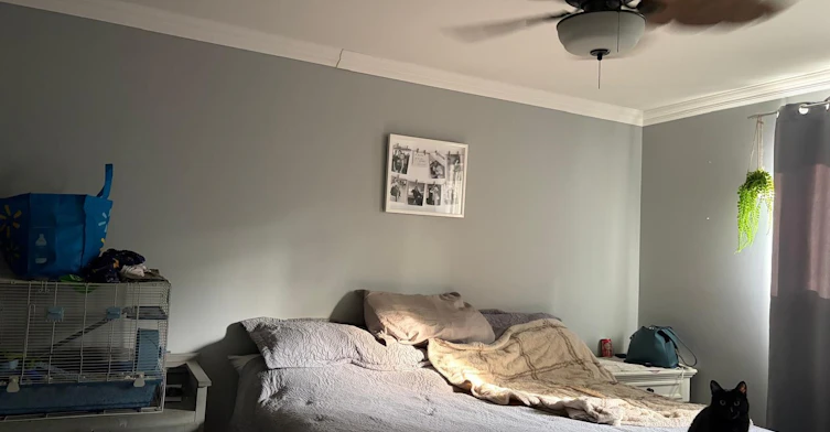 Main-17 Daphne Crescent, Barrie, ON, L4M 2Y7 - 11