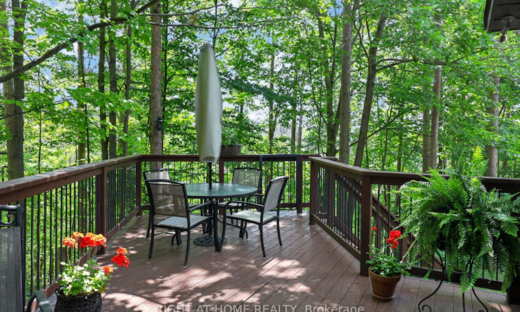5 Pine Point