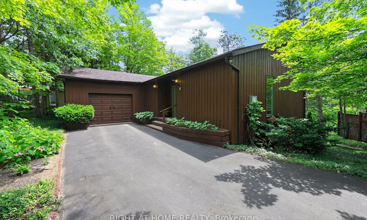 5 Pine Point