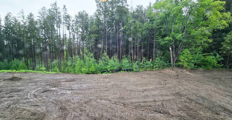 51 Ruby Ridge, Oro-Medonte, ON, L0L 2E0 - 18