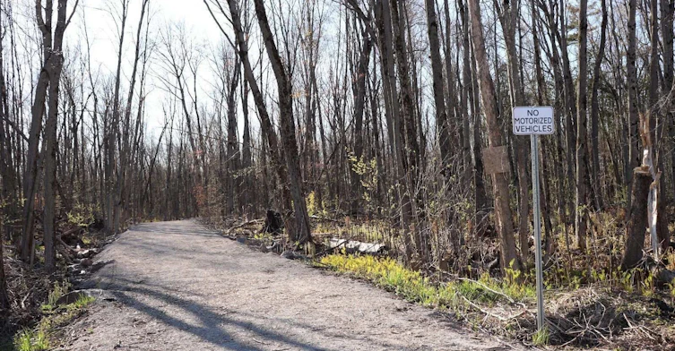 BLOCK 72-2994 Sandy Acres Avenue, Severn, ON, L3V 8P8 - 29