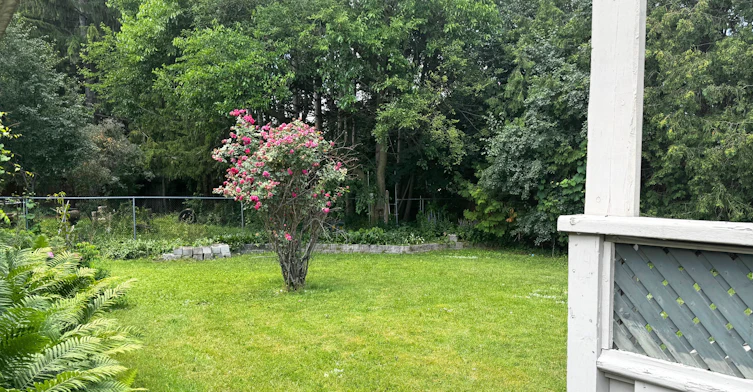 108 Katherine Street, Collingwood, ON, L9Y 3R5 - 6
