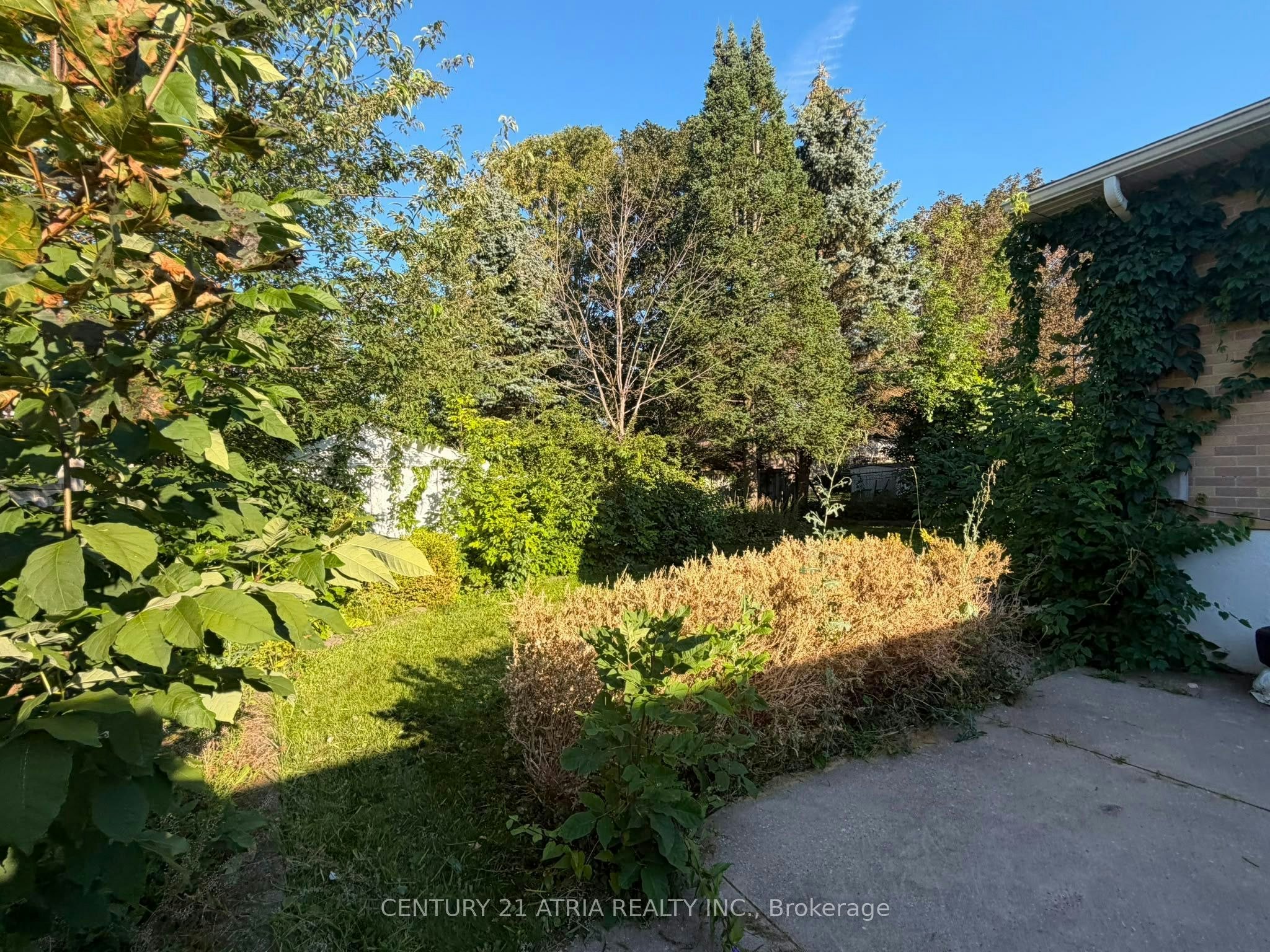 Lower-76 Bernick Drive, Barrie, ON, L4M 2V6 - 3