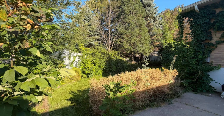Lower-76 Bernick Drive, Barrie, ON, L4M 2V6 - 3