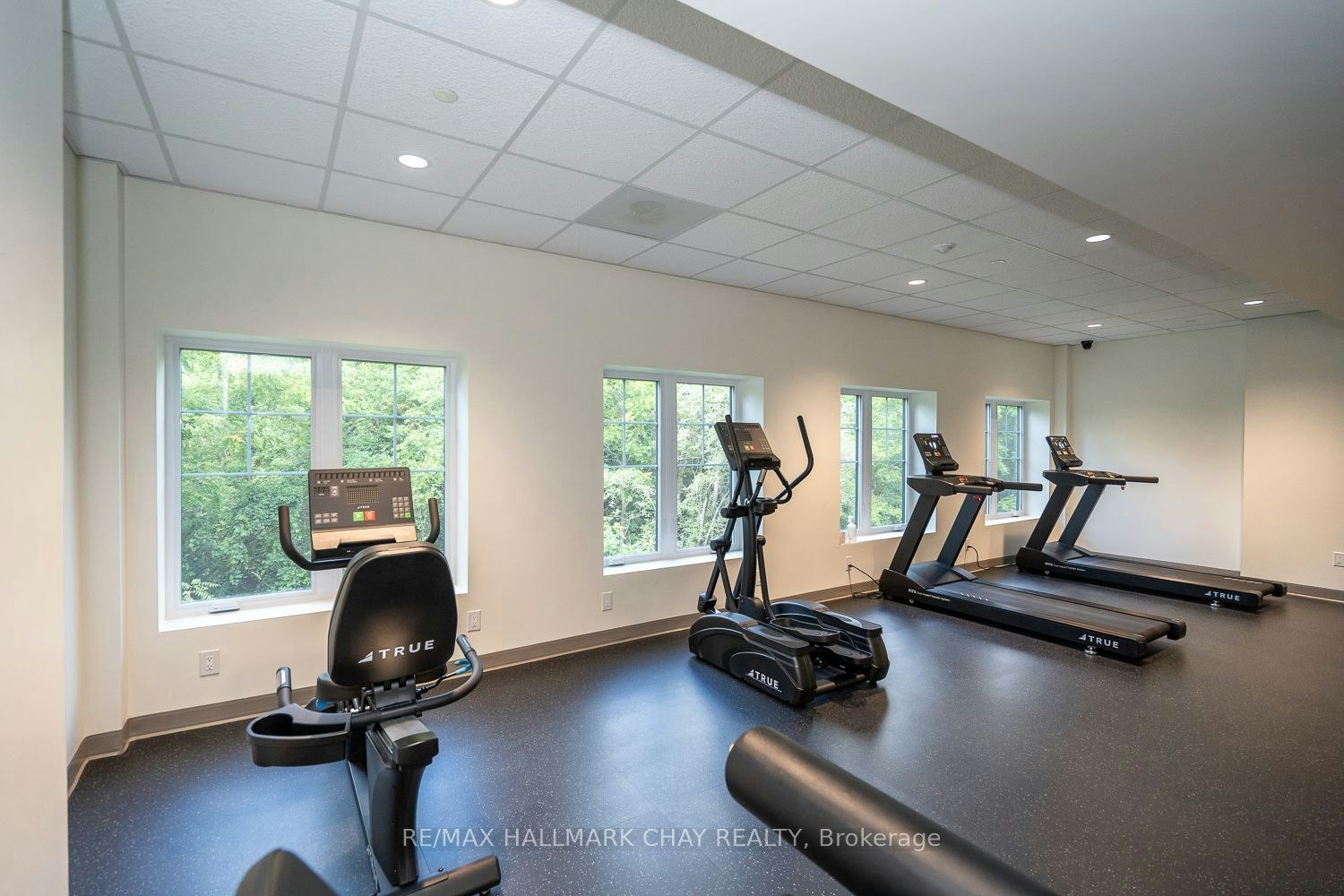 203-121 Mary Street, Clearview, ON, L0M 1G0 - 28