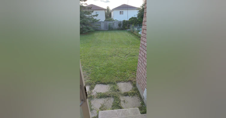 141 Black Cherry Crescent, Barrie, ON, L4N 9L1 - 4