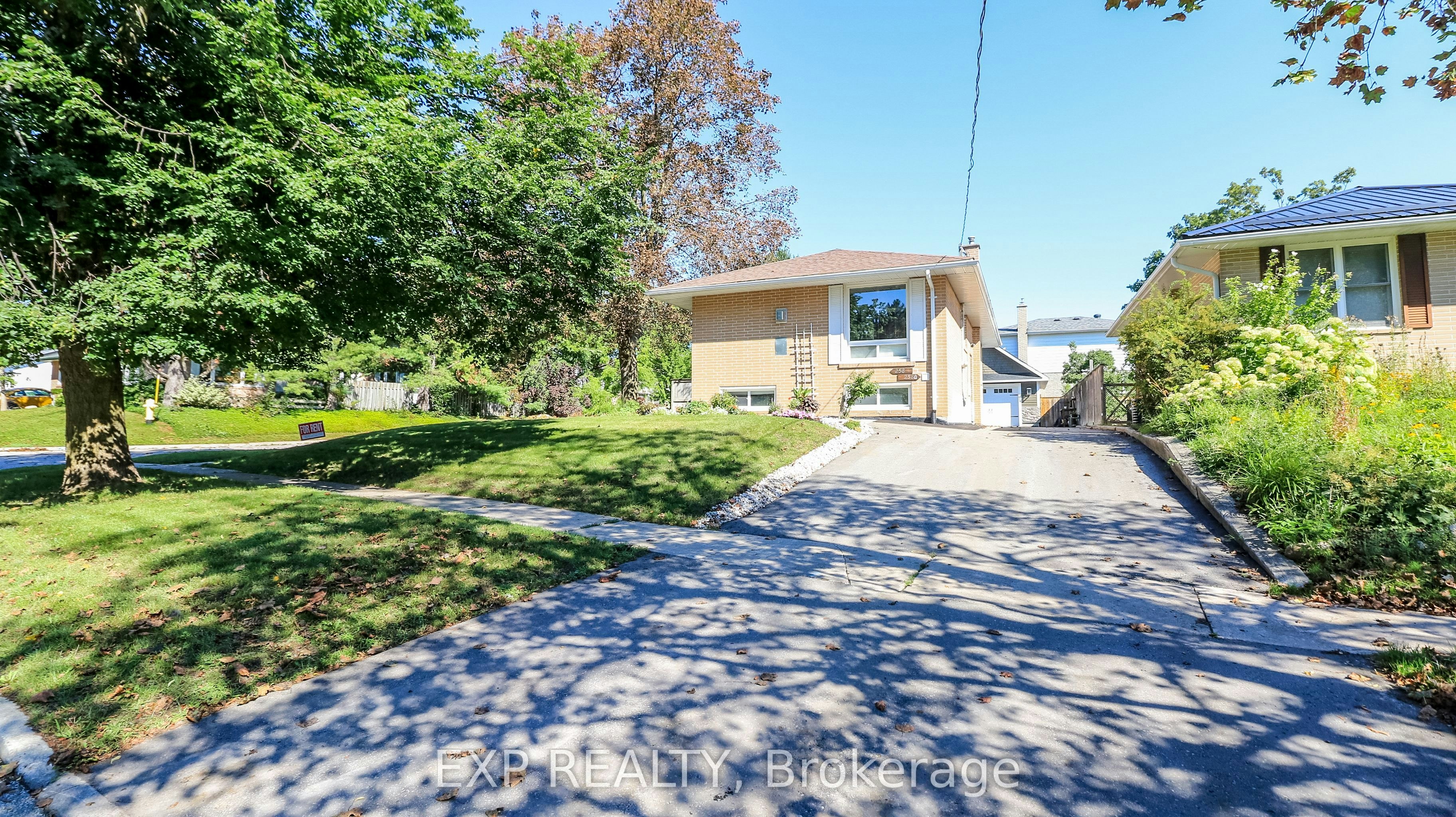 Basement-258 Napier Street, Barrie, ON, L4M 1X7 - 3