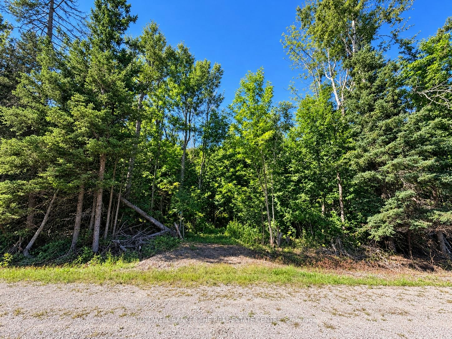 4896 Penetanguishene Road, Springwater, ON, L0L 1V0