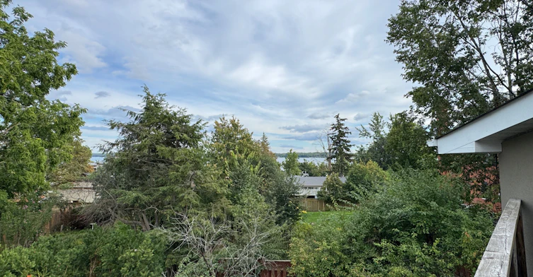 Upper-119 Blake Street, Barrie, ON, L4M 1K2 - 22