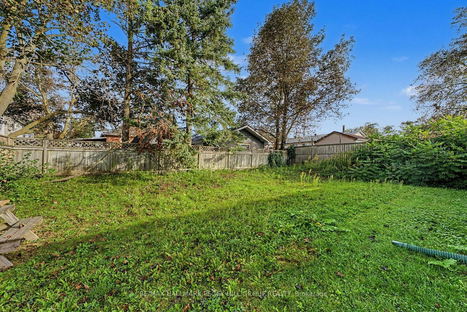 6 Argyle Road, Barrie, ON, L4N 6P9 - 19