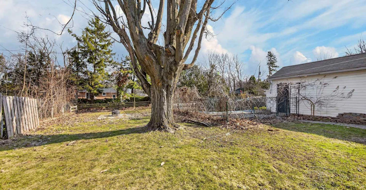 89 North St West (Main Floor Only) Street N, Orillia, ON, L3V 3S7 - 36