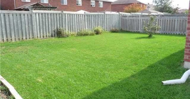 263 Johnson Street, Barrie, ON, L4M 6S2 - 18